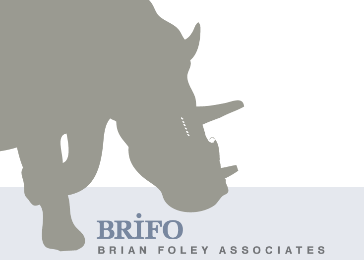 Brian Foley Associates